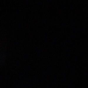 Meet your Posher, Shane